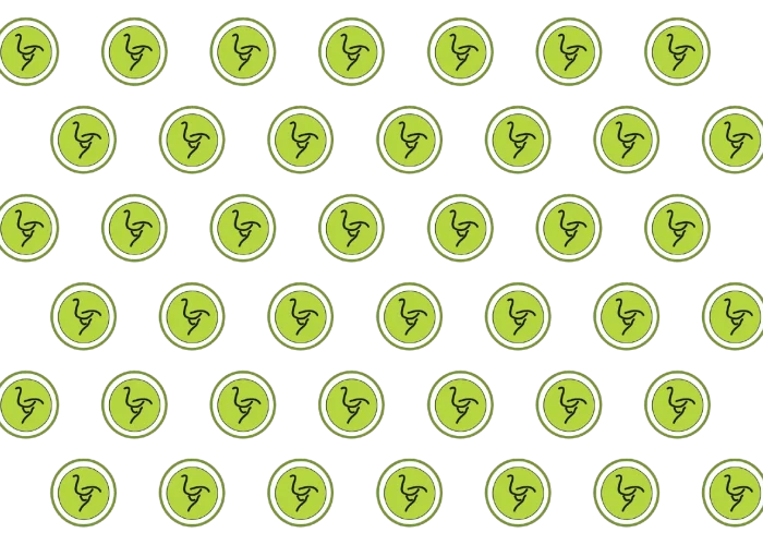 strucc_minta_webp